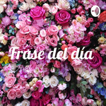 Frase del día