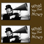 What Was That, Now?