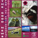 The Good News for the Environment around me