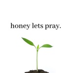 The Honey Pod