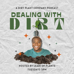 Dealing with Dirt