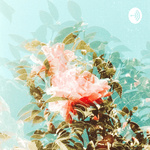 lovelylifecare