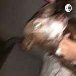 Um Homem Muito Burro e Uma Mulher Muito Burra Também