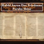 Rabbi Aaron Dov Friedman Parsha Shiur