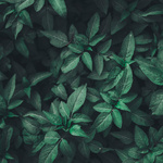 Caffeinated conversations 