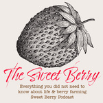 The Sweet Berry