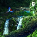 O Desmatamento da Amazônia