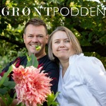 Grøntpodden
