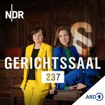 Gerichtssaal 237. True Crime aus dem Strafgericht