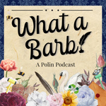 What a Barb! A Polin Podcast