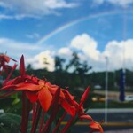 Mi corazón late a la derecha