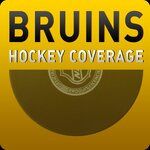 Boston Bruins Hockey