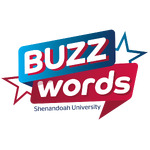 Buzzwords: Conversations about Teaching and Learning at SU