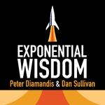 Exponential Wisdom
