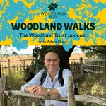 Woodland Walks - The Woodland Trust Podcast