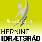 Unges frivillighed