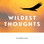 Wildest Thoughts
