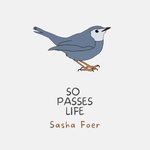 So Passes Life