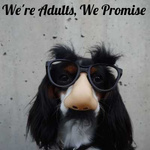 We're Adults, We Promise 