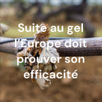 Suite au gel l'Europe doit prouver son efficacité