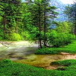 Organic by Olejo