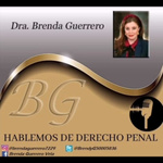 Hablemos de Derecho Penal y Procesal Penal Brenda Guerrero Vela