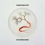 Disintegrator