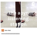 the apyr listening station