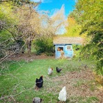 the journal of small work*