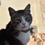 SUPER BIG NAME THAT OVERFLOWS BELOW THE LINE