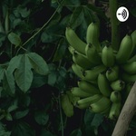Fairtrade