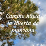 Camino hacia la Huerta de manzana