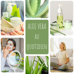 L'Aloe Vera au quotidien 