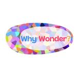 Why Wonder? 