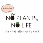 komari の NO PLANTS, NO LIFE
ちょっと植物見に行きませんか?