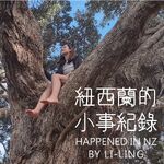 紐西蘭的小事紀錄 Happened in NZ