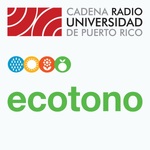 Ecotono