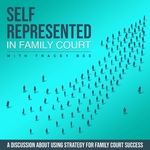 Self-Represented in Family Court 