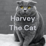 Harvey The Cat