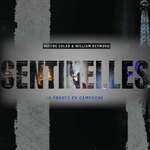 Sentinelles - La France en campagne - Maître Eolas & William Reymond