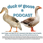 Duck or Goose - A Podcast