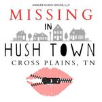 Missing in Hush Town