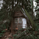 An Abandoned House