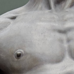 Horny Nipples
