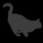 Cats And Kittens Rock!