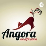 Angora modification