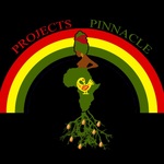 Projects 2 Pinnacle 