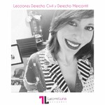 Lecciones de Derecho Civil y Derecho Mercantil