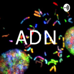 ADN
