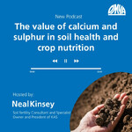 The value of calcium and sulphur in soil health and crop nutrition